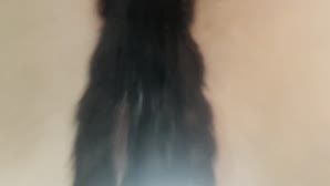 Amateur Facesitting – Young Amateur Temptress Delights in POV Facesitting and Pussy Licking